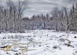 Winter Marsh_32423-4